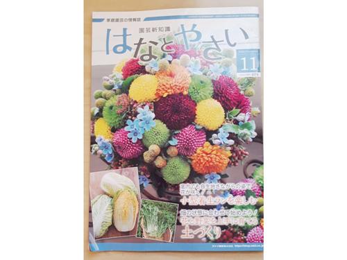 月刊誌「はなとやさい」